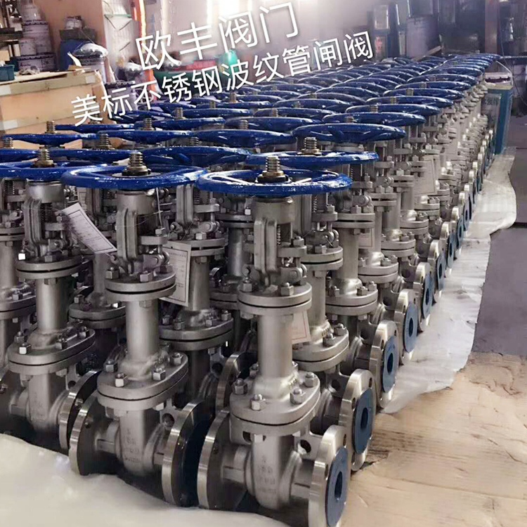 ASME-Standard Stainless Steel Bellows-Sealed Gate Valve Manual ASME-Standard Flanged Gate Valve Industrial Valve — PVPeW 2026