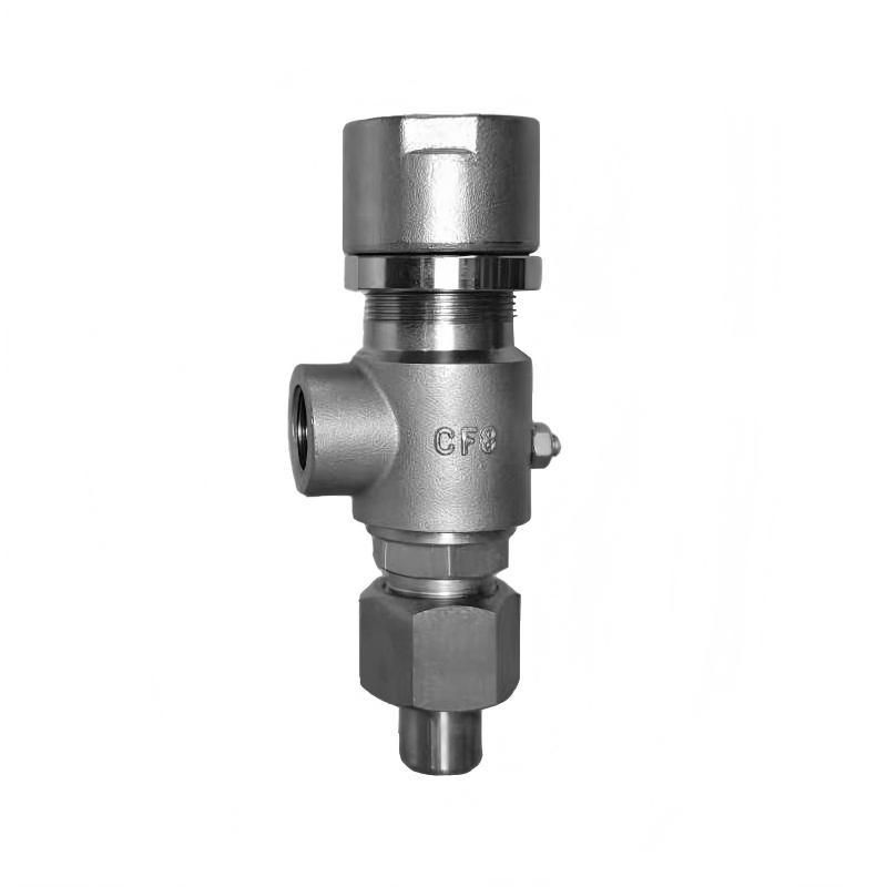 A21 Threaded Micro-Opening Spring Safety Valve — PVPeW 2026