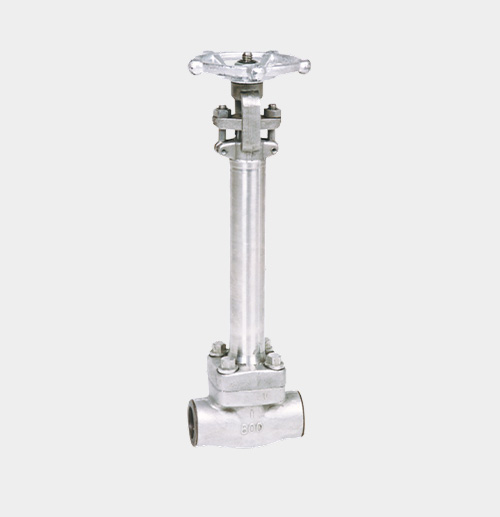 Cryogenic Gate Valve — PVPeW 2026