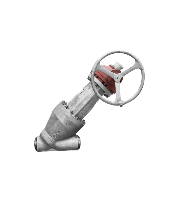 ASME-Standard Globe Valve — PVPeW 2026