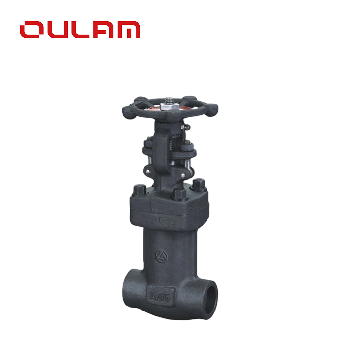 Bellows-Sealed Gate Valve Wz61Y_ _ Gate Valve — PVPeW 2026