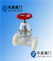 Pvdf Plastic Globe Valve — PVPeW 2026