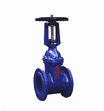 Rising-Stem Resilient-Seated Gate Valve — PVPeW 2026