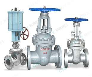 Gate Valve — PVPeW 2026