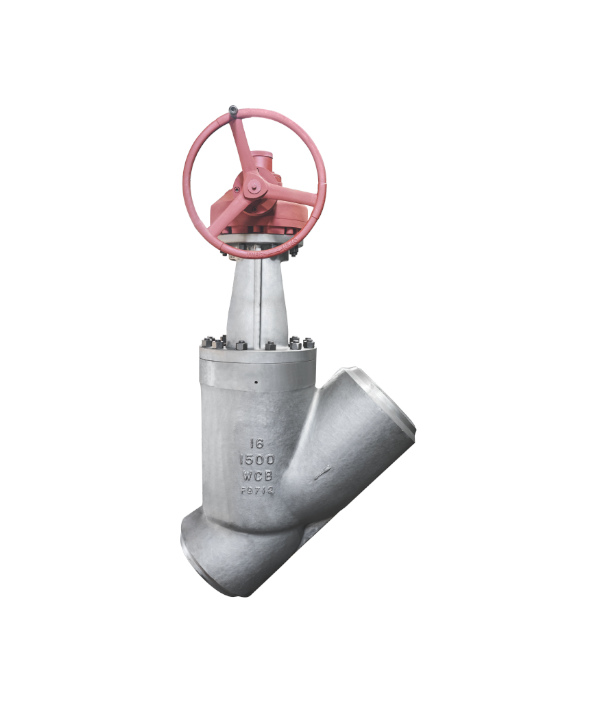 ASME-Standard Globe Valve — PVPeW 2026