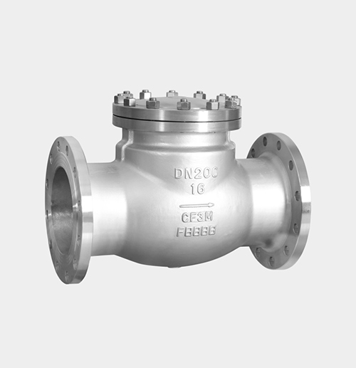 Swing-Type Check Valve — PVPeW 2026