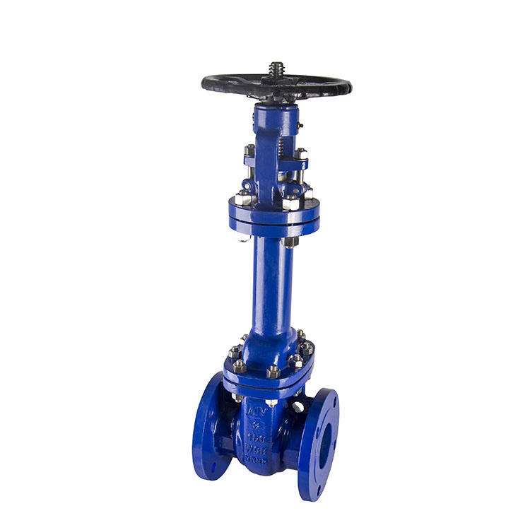 ANSI Bellows-Sealed Gate Valve — PVPeW 2026