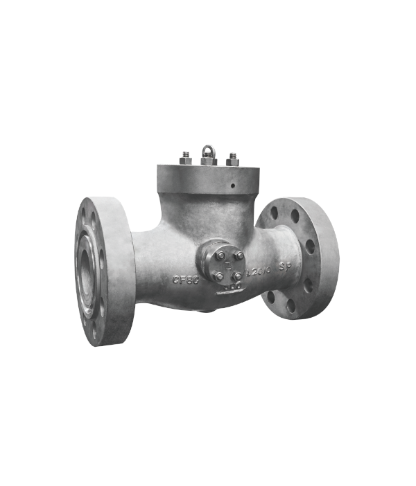 ASME-Standard Stainless Steel Flanged Swing-Type Check Valve — PVPeW 2026