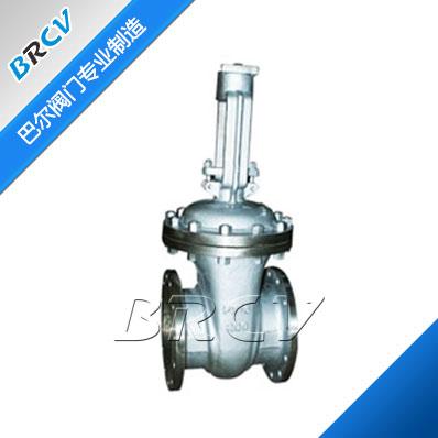 Z41W-16P Stainless Steel Gate Valve — PVPeW 2026