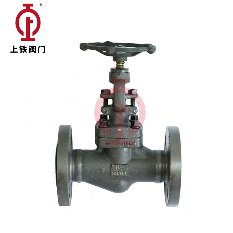 ASME-Standard Globe Valve — PVPeW 2026