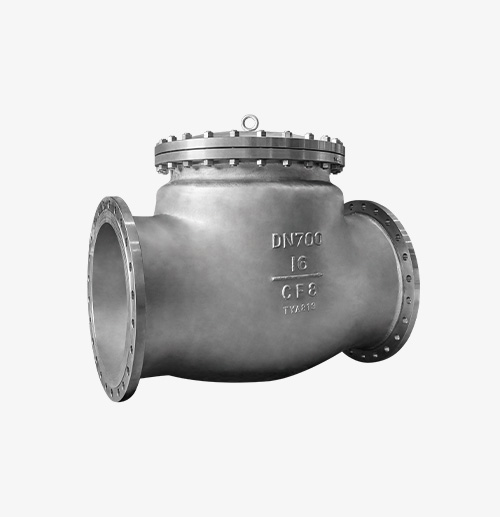 Swing-Type Check Valve — PVPeW 2026