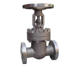 Stainless Steel Gate Valve — PVPeW 2026