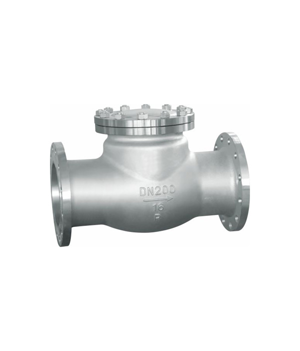 Swing-Type Check Valve — PVPeW 2026