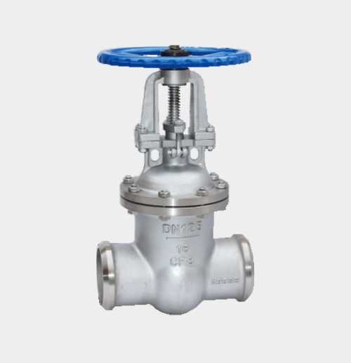 Stainless Steel Gate Valve — PVPeW 2026