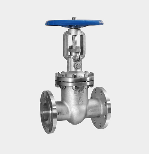 Stainless Steel Gate Valve — PVPeW 2026