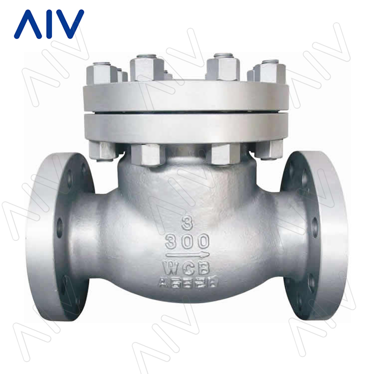 ASME-Standard Check Valve — PVPeW 2026