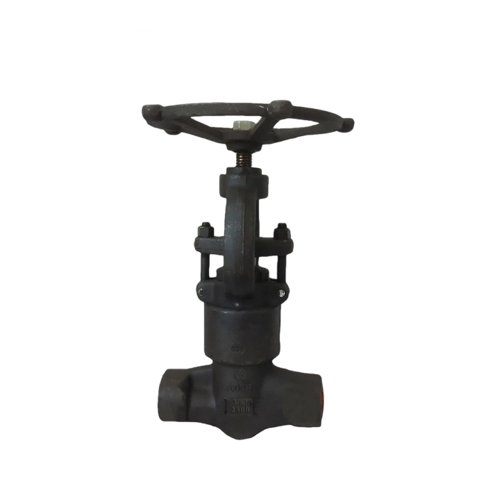 High-Pressure Globe Valve — PVPeW 2026