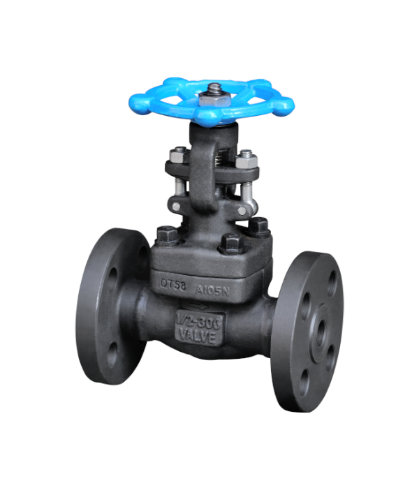 ASME-Standard Flanged Gate Valve — PVPeW 2026
