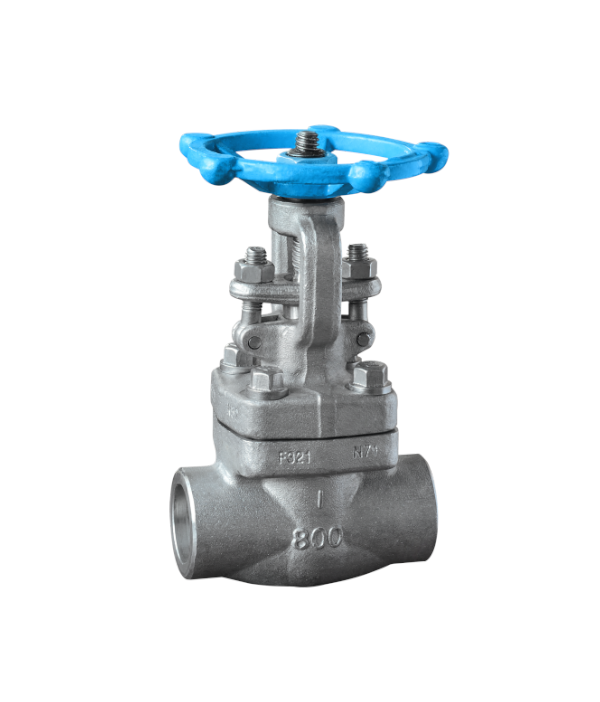 ASME-Standard Welded Gate Valve — PVPeW 2026