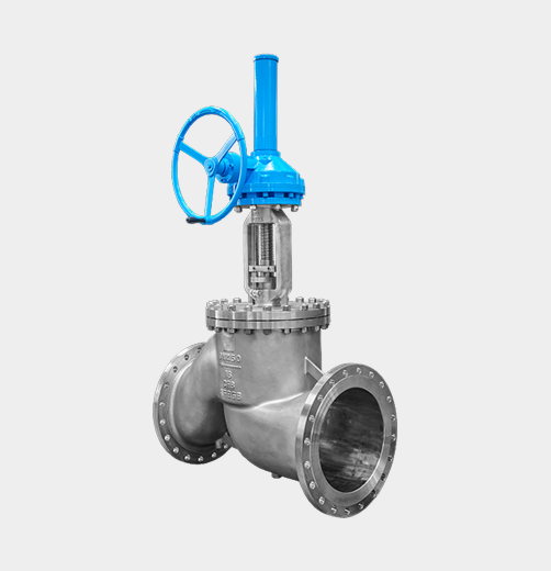 Stainless Steel Globe Valve — PVPeW 2026