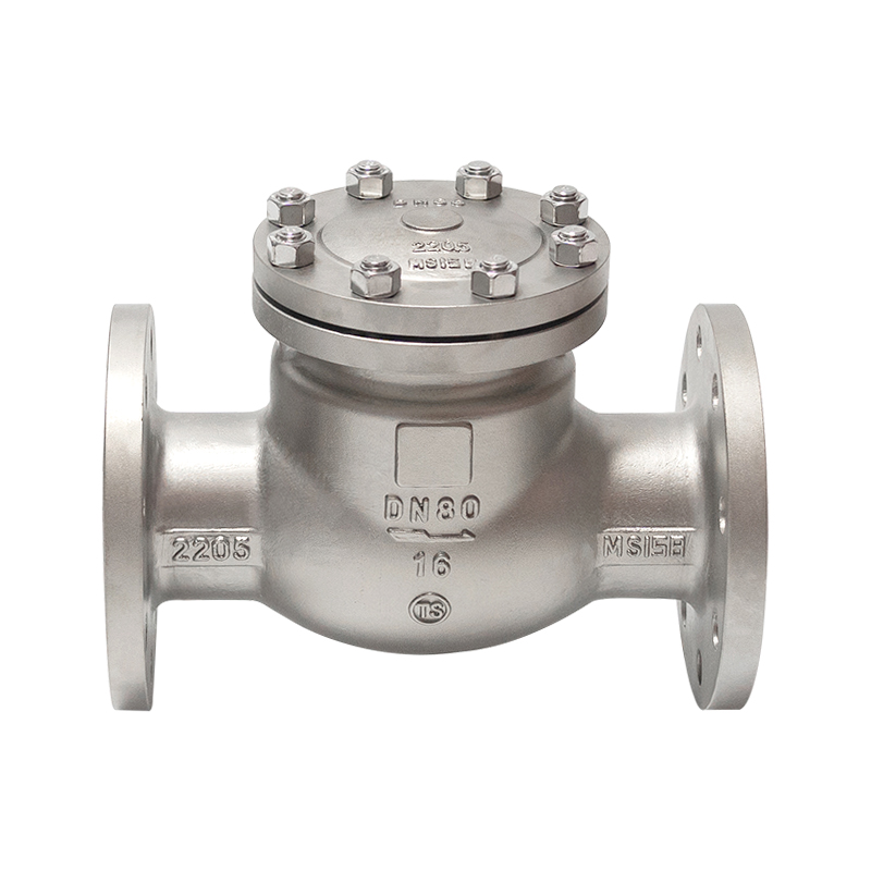 Check Valve H44W-16V 2205 — PVPeW 2026