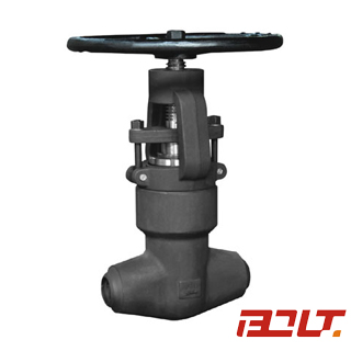 Sealed 2500Lb Globe Valve J11H/J61H/J11Y/J61Y — PVPeW 2026