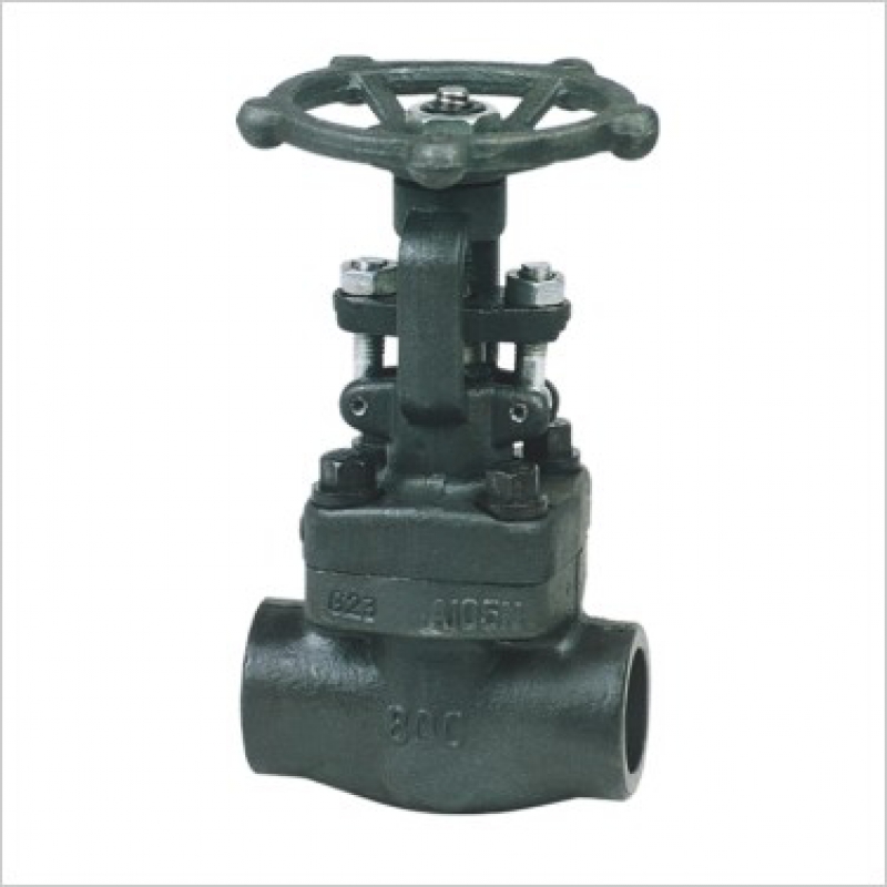 Female-Threaded Socket-Weld Gate Valve — PVPeW 2026
