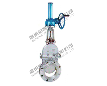 Gate Valve — PVPeW 2026