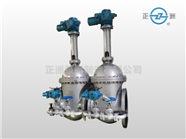 Gate Valve — PVPeW 2026