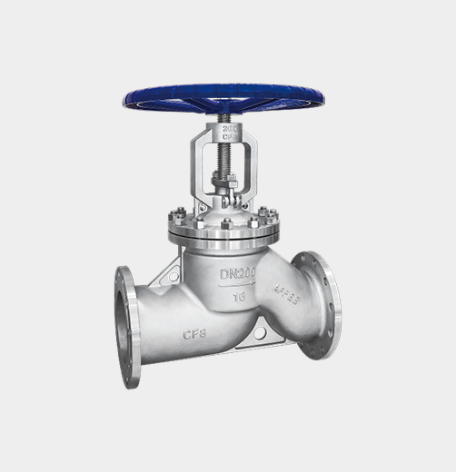 Stainless Steel Globe Valve — PVPeW 2026