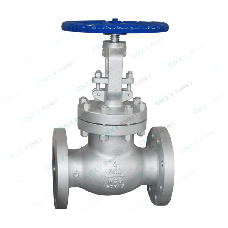 ASME-Standard Flanged Globe Valve — PVPeW 2026