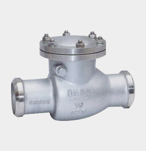 Swing-Type Check Valve — PVPeW 2026