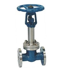 Cryogenic Gate Valve — PVPeW 2026
