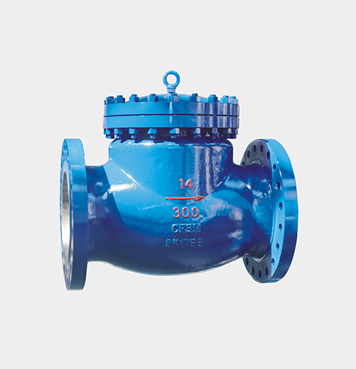 ASME-Standard Check Valve — PVPeW 2026