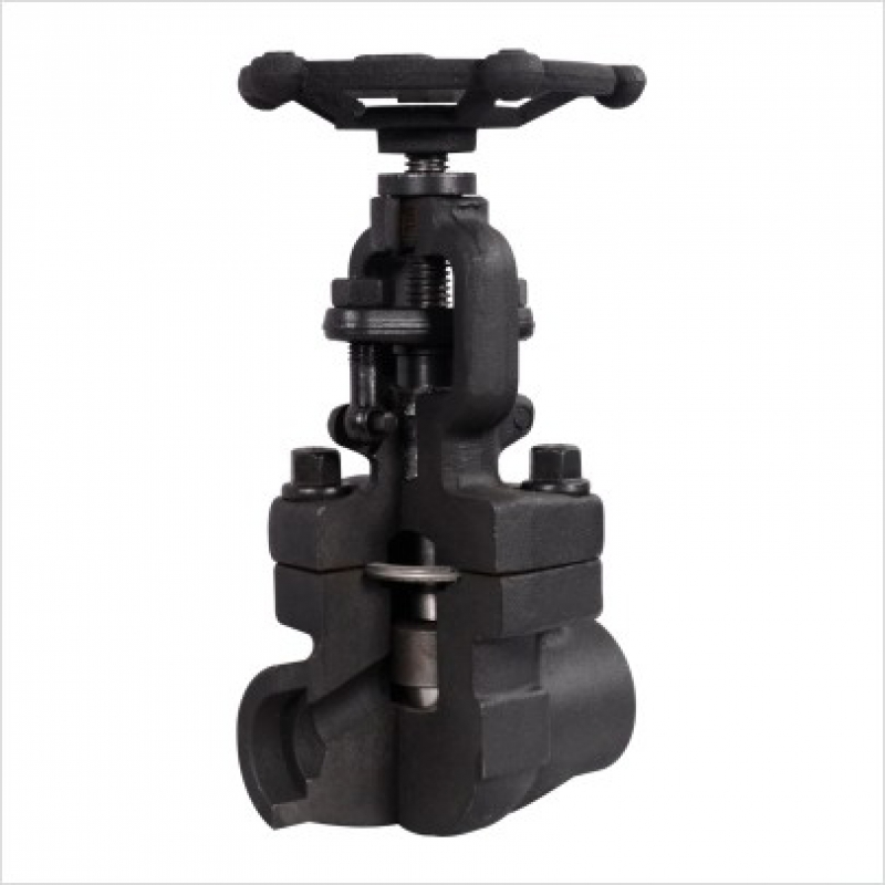 Vacuum Gate Valve — PVPeW 2026