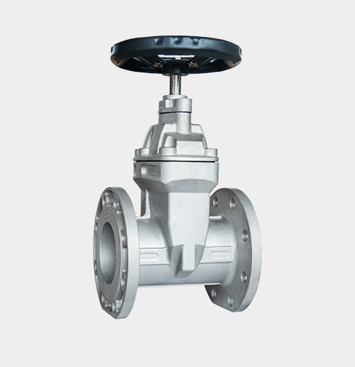 Stainless Steel Resilient-Seated Gate Valve — PVPeW 2026