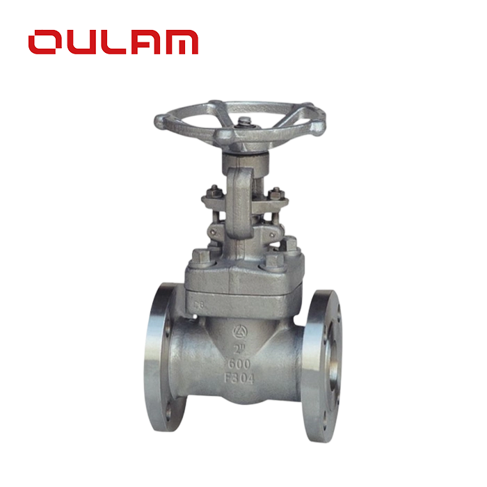 Stainless Steel Gate Valve — PVPeW 2026