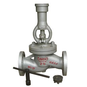 Rubber-Lined Fluoropolymer-Lined Industrial Valve — PVPeW 2026