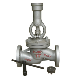 Anti-theft Globe Valves — PVPeW 2026