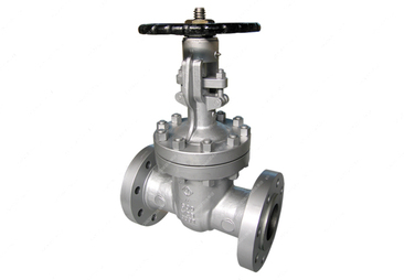 Cast Steel Swing Check Valve — PVPeW 2026