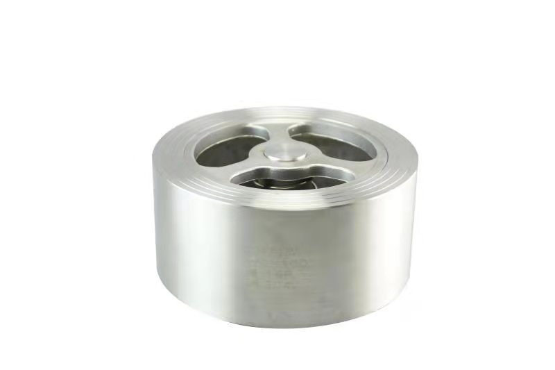 Wafer Lift Check Valve — PVPeW 2026