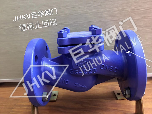 German standard lift check valve — PVPeW 2026