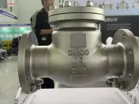 Stainless Steel Check Valve — PVPeW 2026