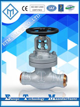 ASME Bellows Sealed Globe Valve — PVPeW 2026