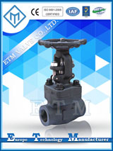 ASME Standard Bellows Sealed Globe Valve — PVPeW 2026