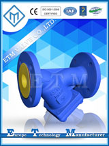 DIN Standard Y-Type Strainer — PVPeW 2026