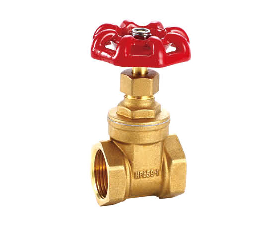 brass gate valve — PVPeW 2026