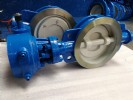 Product 10761 — PVPeW 2026