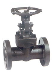 Forged steel flange gate valve — PVPeW 2026