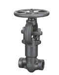Forged steel self-sealing stop valve — PVPeW 2026